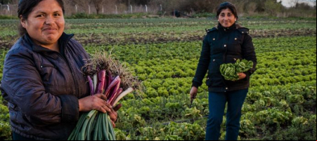 En agosto de 2023 vencen las Obligaciones Negociables Clase II emitidas en dos series por un valor que bordea el medio millón de dólares. / FAO.